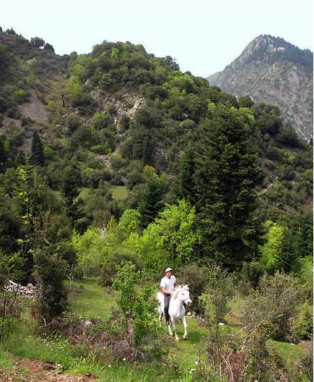 To Panorama Otel Ágrafa Dış mekan fotoğraf